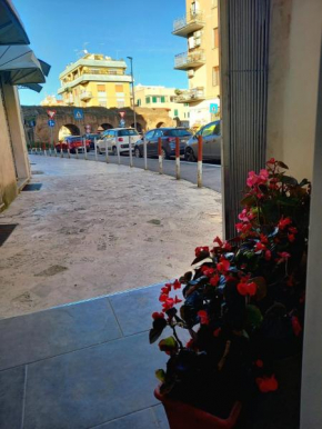 Casa delle begonie Rome